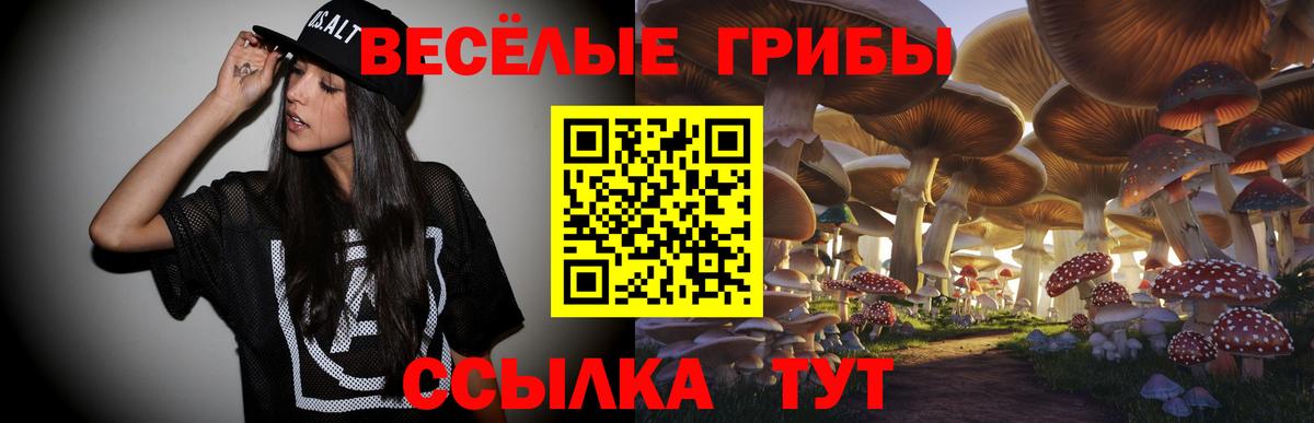 Псилоцибиновые грибы Psilocybe Егорьевск