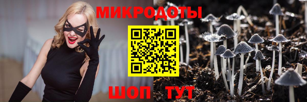 Егорьевск  как найти   Псилоцибиновые грибы GOLDEN TEACHER  Вход с VPN  Псилоцибиновые грибы мухоморы 